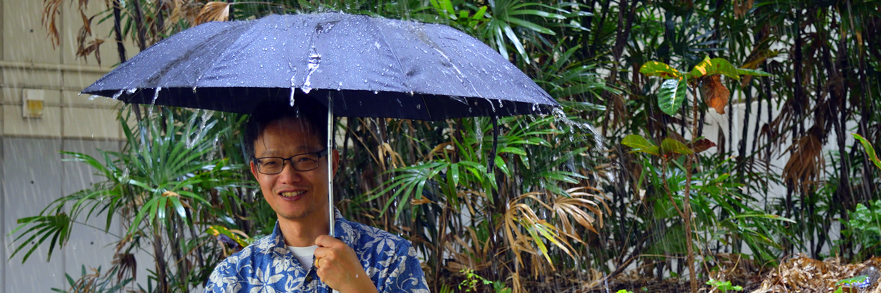 Prof. Ma Holding An Umbrella In The Rain.