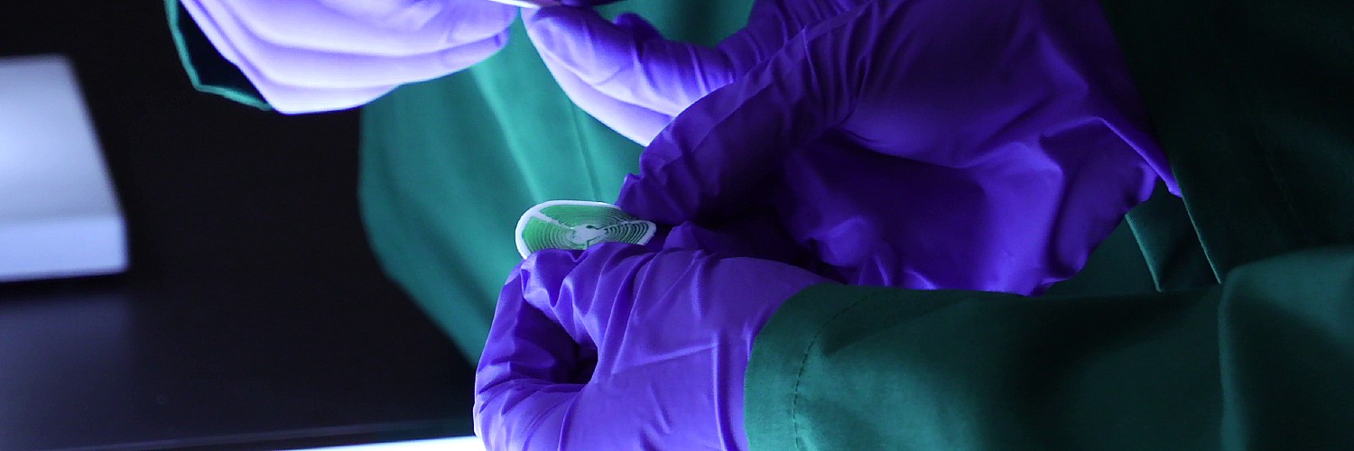 Gloved Hands Holding A Disc-shaped Sweat Sticker