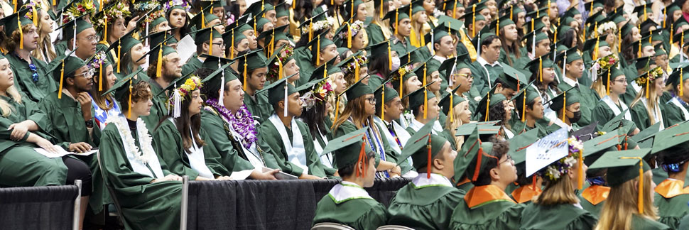 Graduates Sitting At Commencement