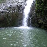 A waterfall feeding into a stream