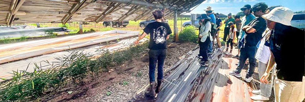 Person Showing Students A Farm